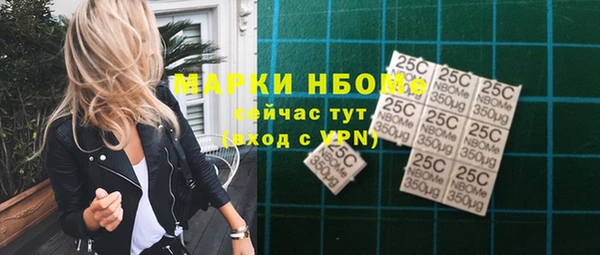 гашик Алзамай